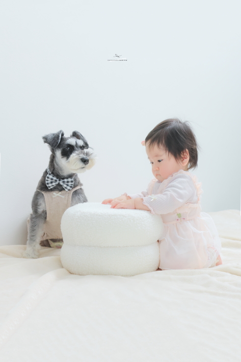 仙台ののどかな田園に佇む、戸建ての１組貸切フォトスタジオ。 家族の記念日も、愛犬の記念日も、プライベートな空間でゆったりと。