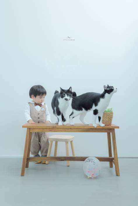 家族の記念日も、ペットの記念日も。みんなが主役のアニバーサリー